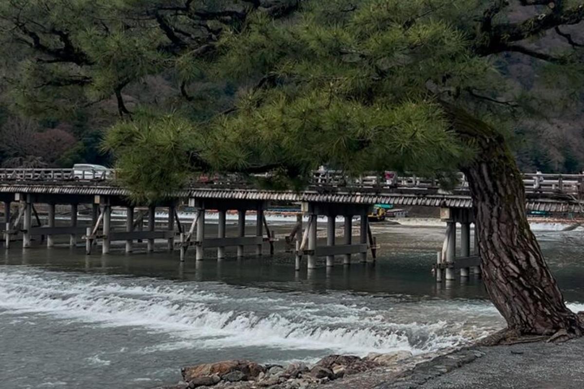 un pino delante de un puente sobre un río