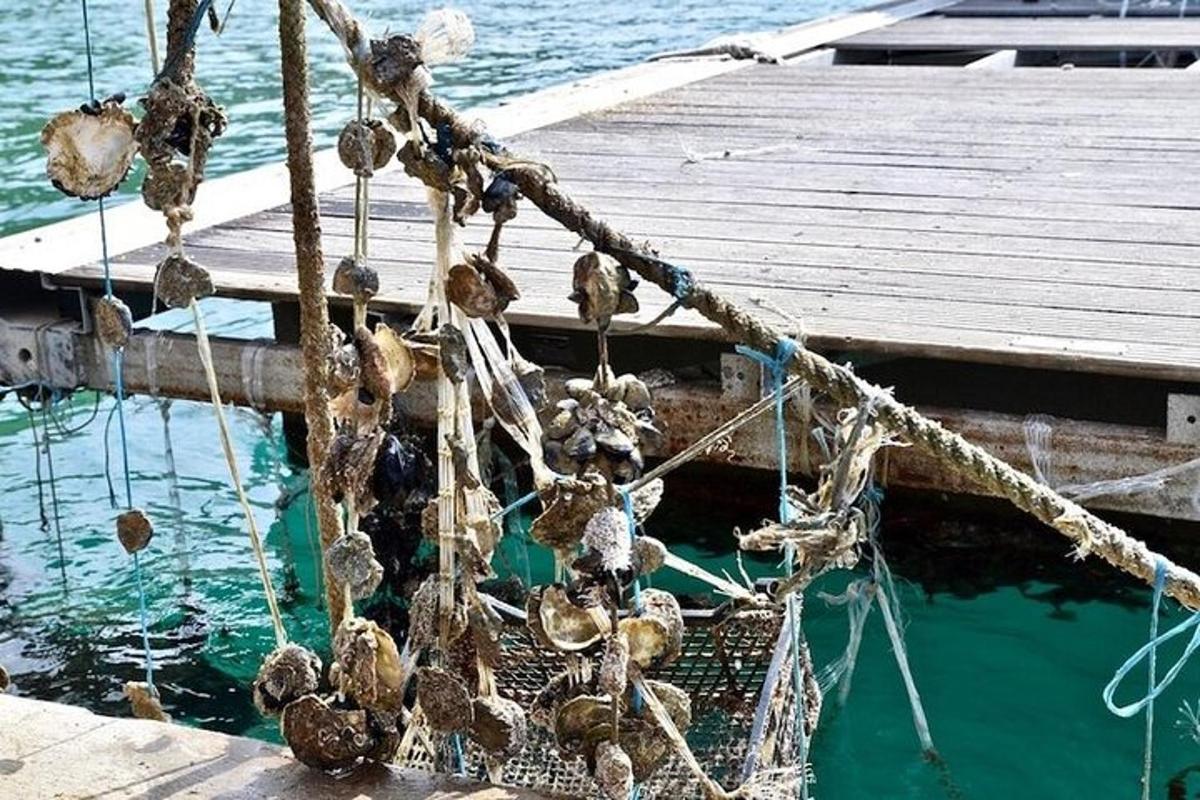 ein Bündel Netze auf einem Boot im Wasser