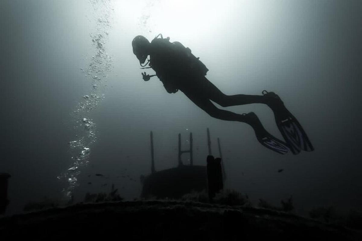 una persona nedant a l'aigua de l'oceà