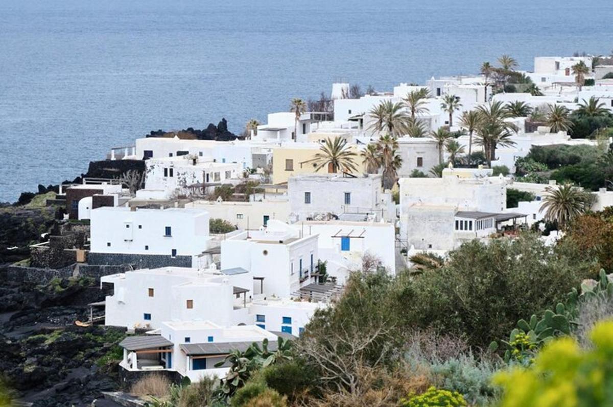 a cluster of white houses on a hill with the ocean