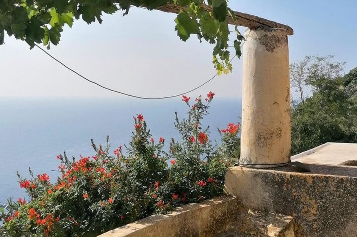 a view of the ocean from a wall with flowers