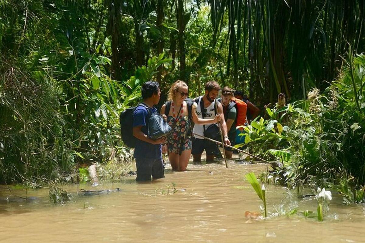 a group of people standing in a river