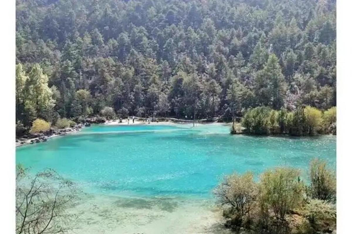 a large blue lake in the middle of a forest