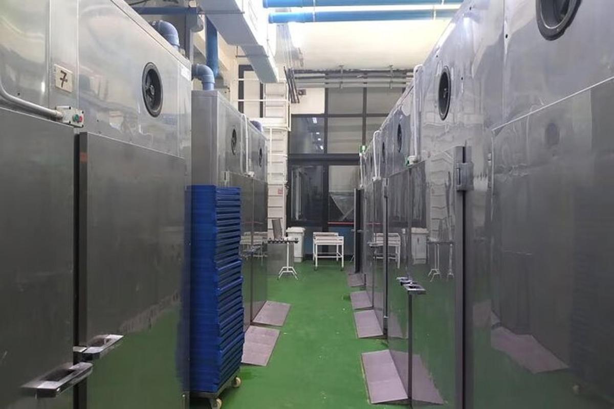 một căn phòng có một căn phòng có một căn phòng có một chiếc máy bay