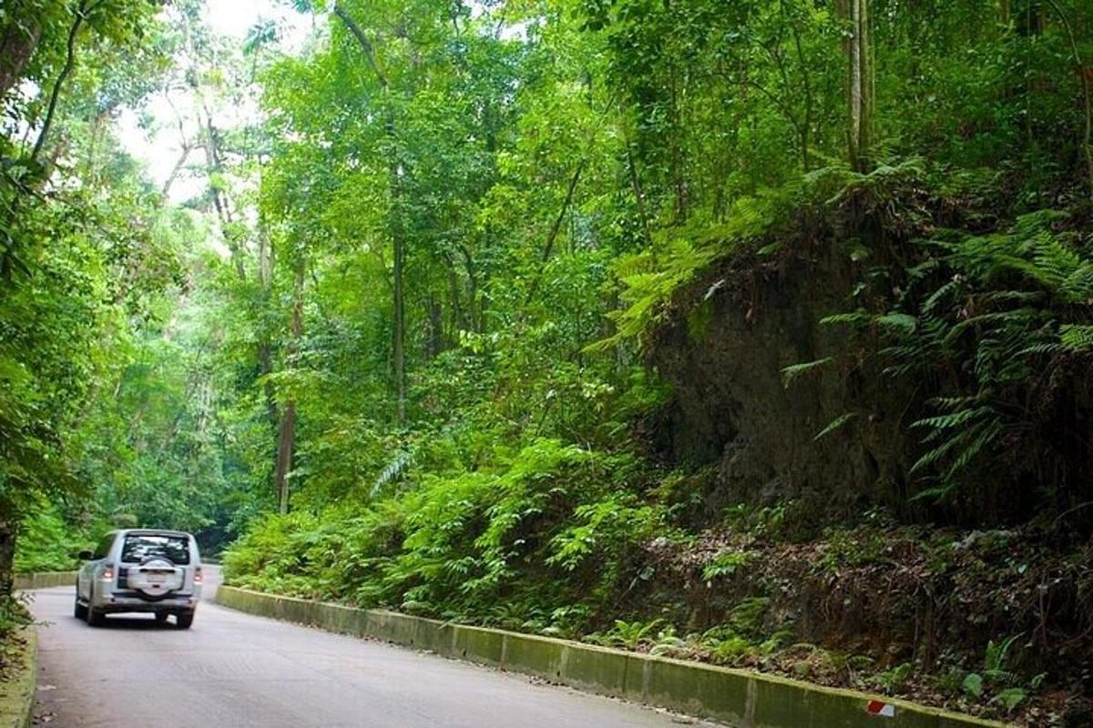 un'auto che percorre una strada nella giungla