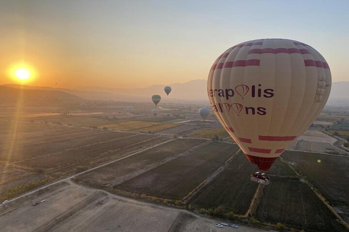 一群热气球飞过田野