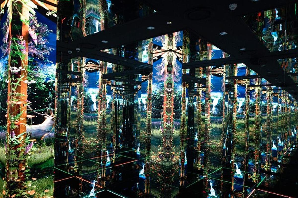 Photo de l’attraction numéro 7.