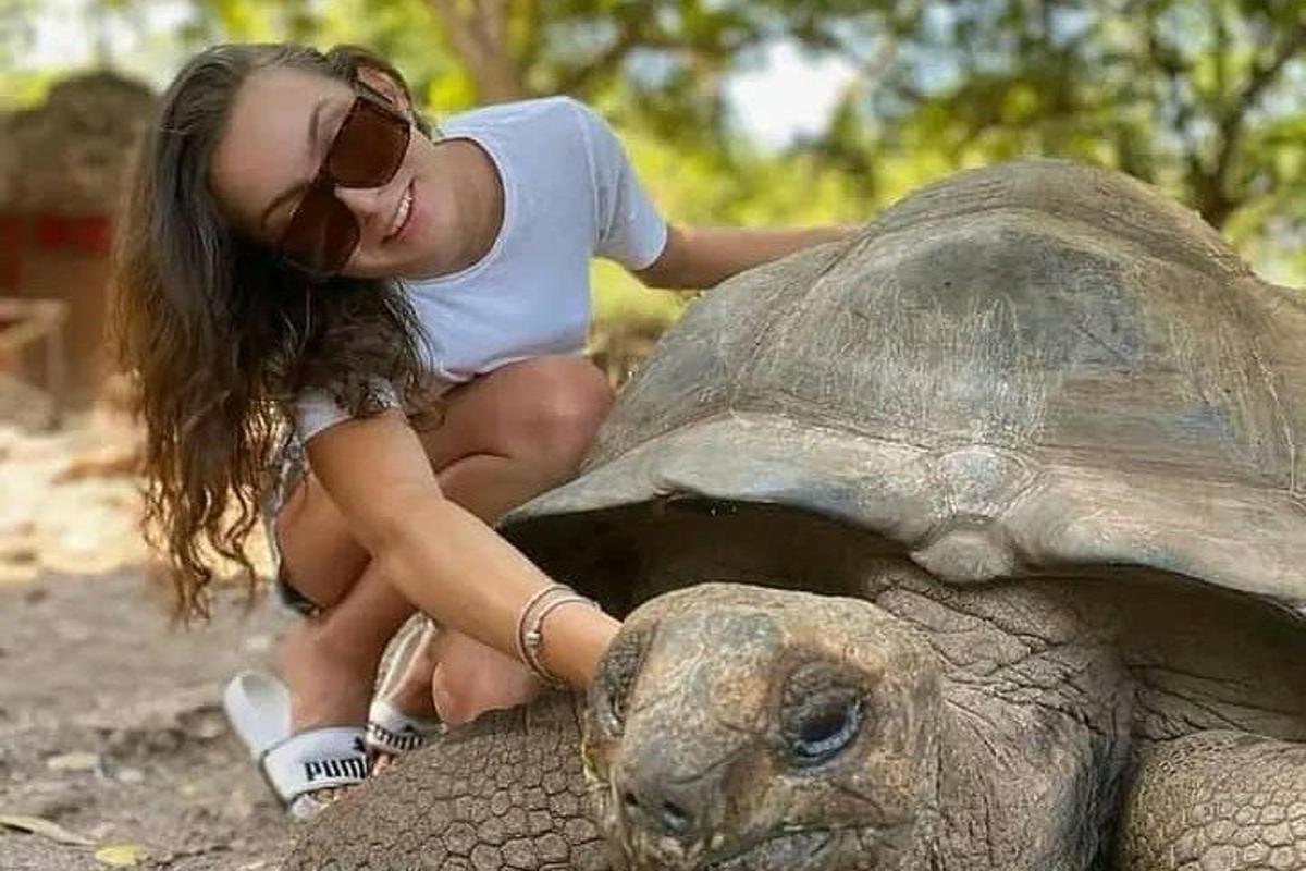 dívka sedící na zádech velké želvy