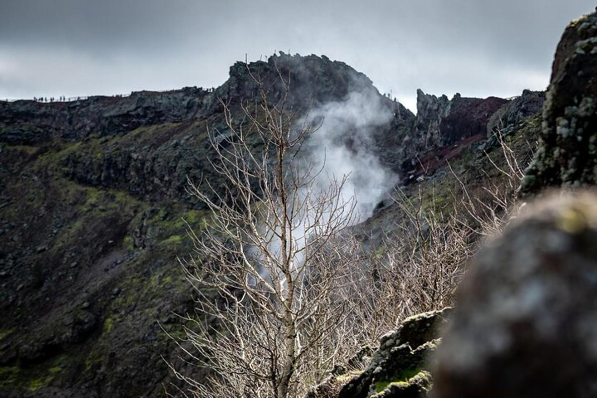 un albero sul fianco di una montagna con fumo