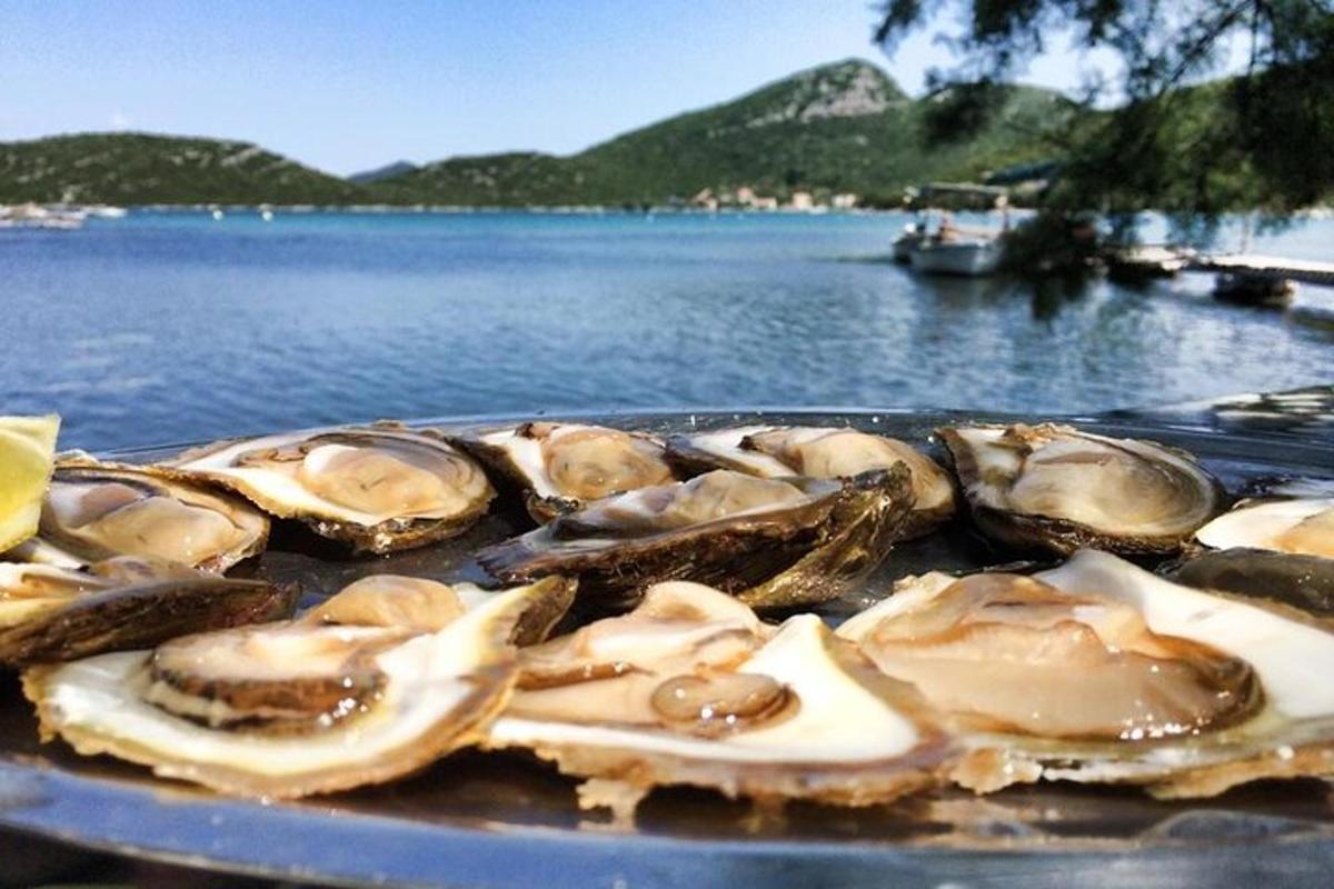 a tray of oysters on a table next to the water