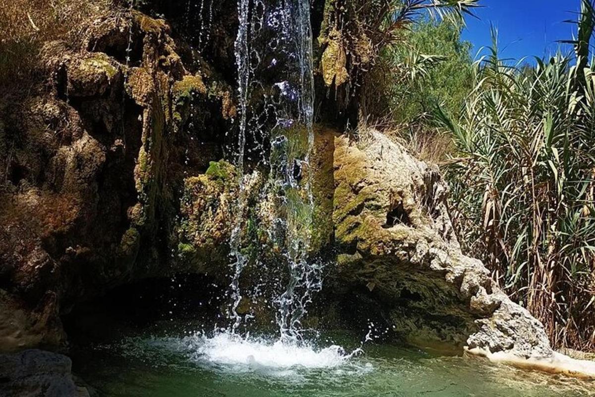 una cascada en medio de un charco de agua