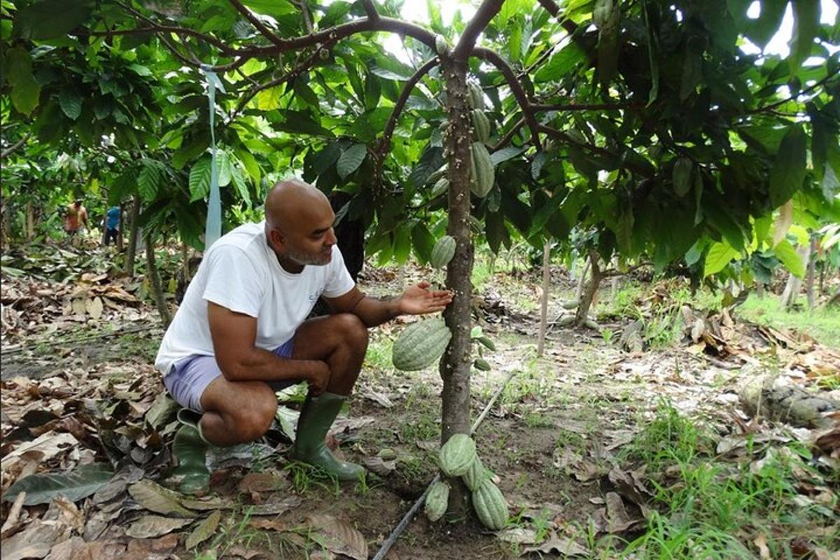 a man is squatting down next to a tree