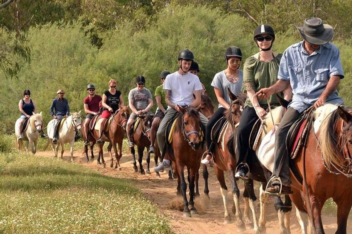 un grup de persones muntant a cavall per un camí de terra