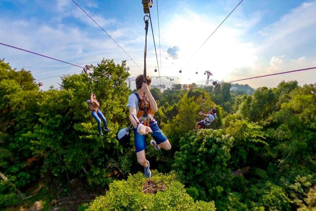 skupina lidí jedoucí na zipline