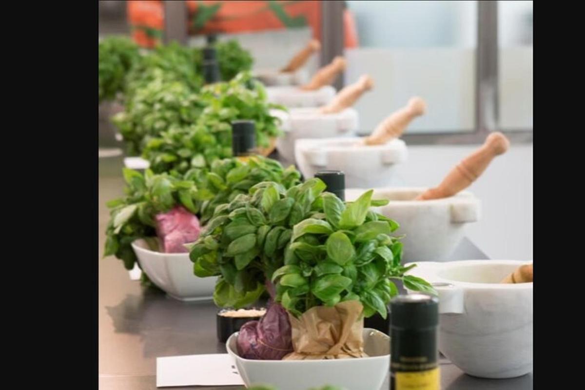 un buchet de plante în boluri albe pe o masă