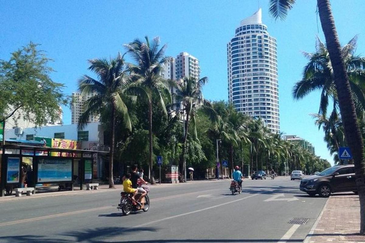 人们骑着自行车沿着棕榈树环绕的城市街道行驶