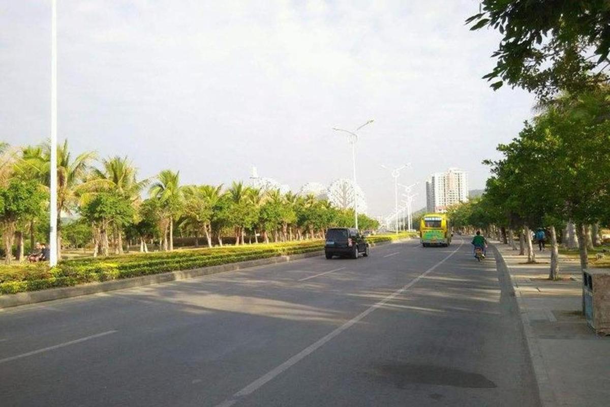 一条街道，汽车沿着长满棕榈树的道路行驶