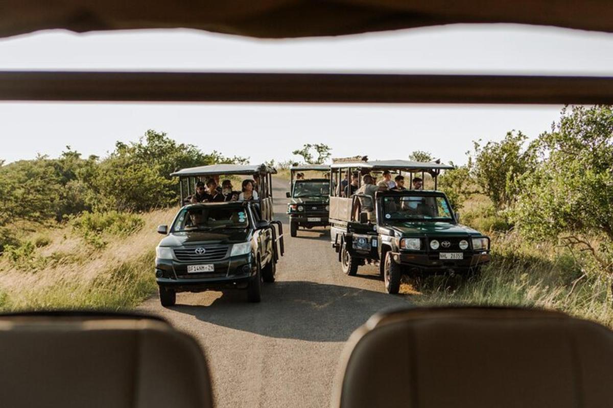 a group of safari vehicles driving down a dirt road