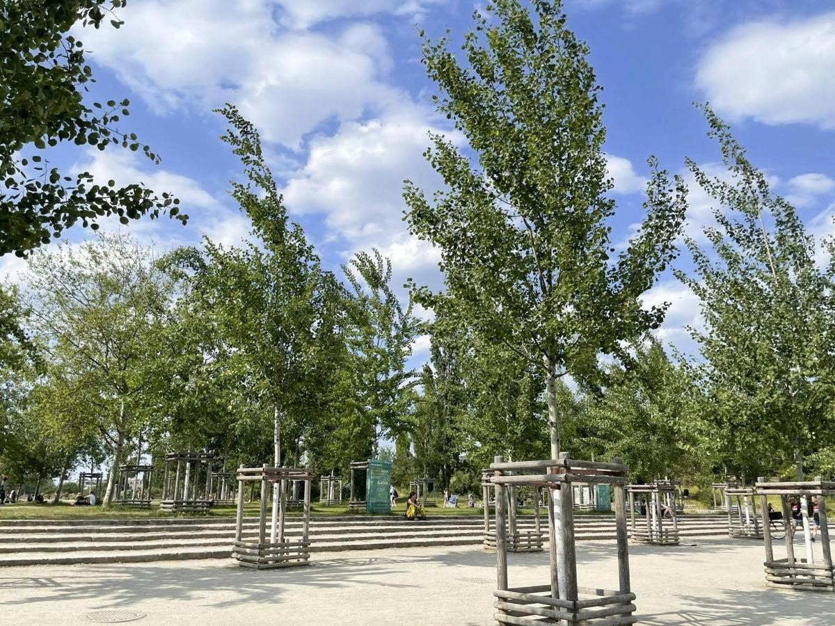 un loc de joacă cu copaci într-un parc