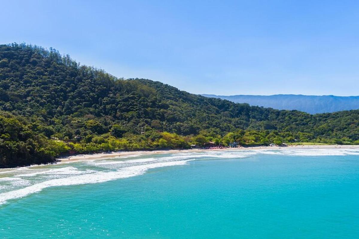 an aerial view of a beach with trees