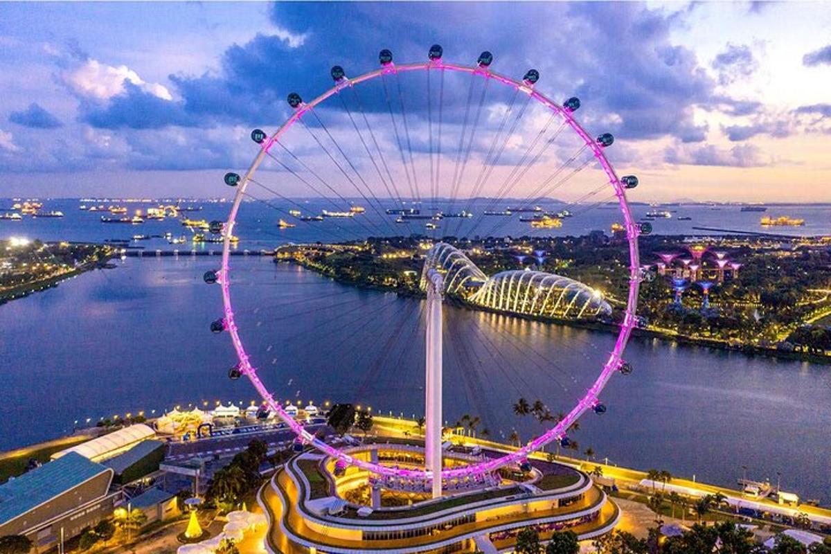 a large ferris wheel in the middle of a city