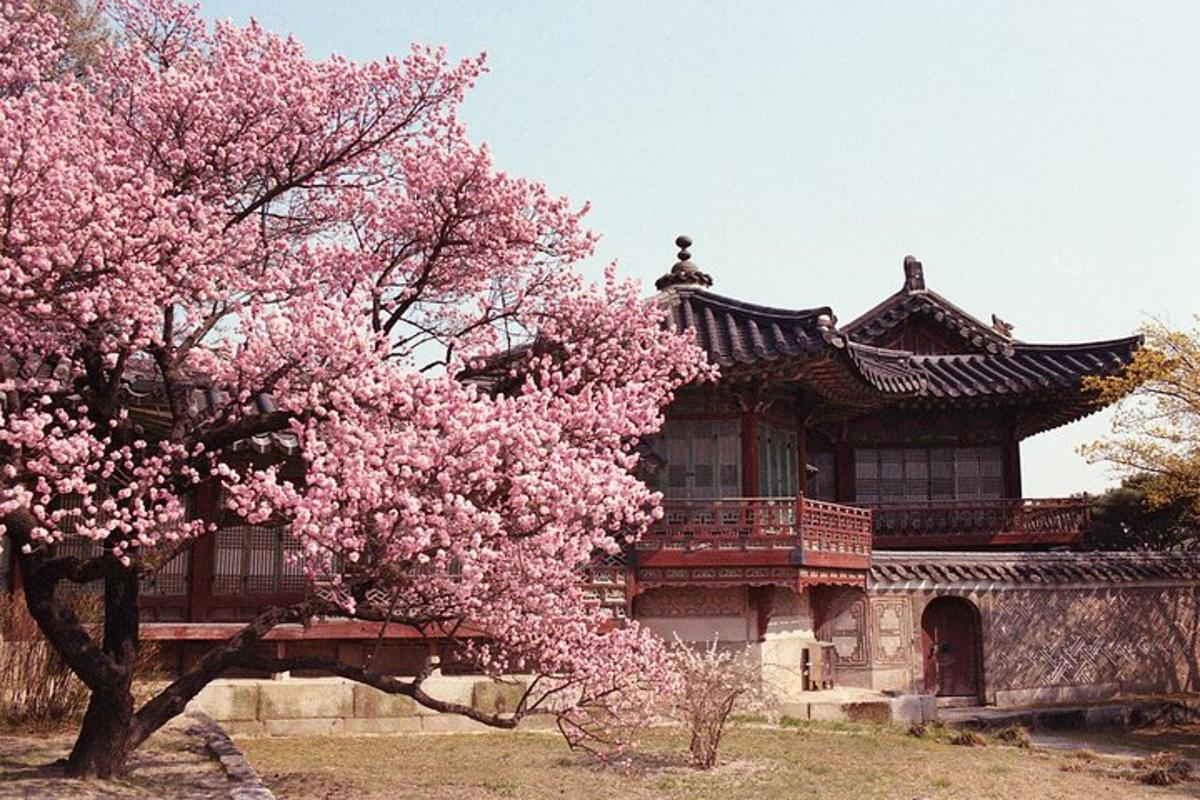 a tree with pink flowers in front of a building