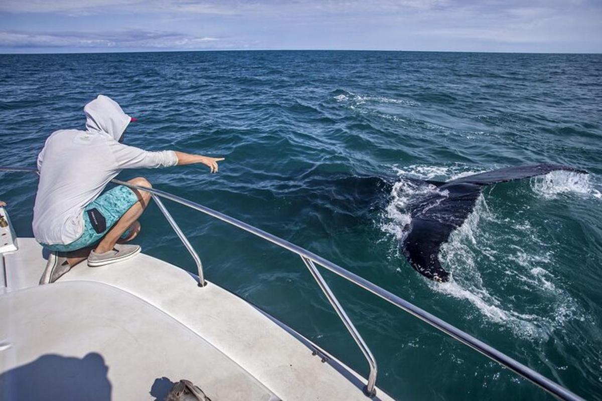un uomo su una barca con una balena in acqua