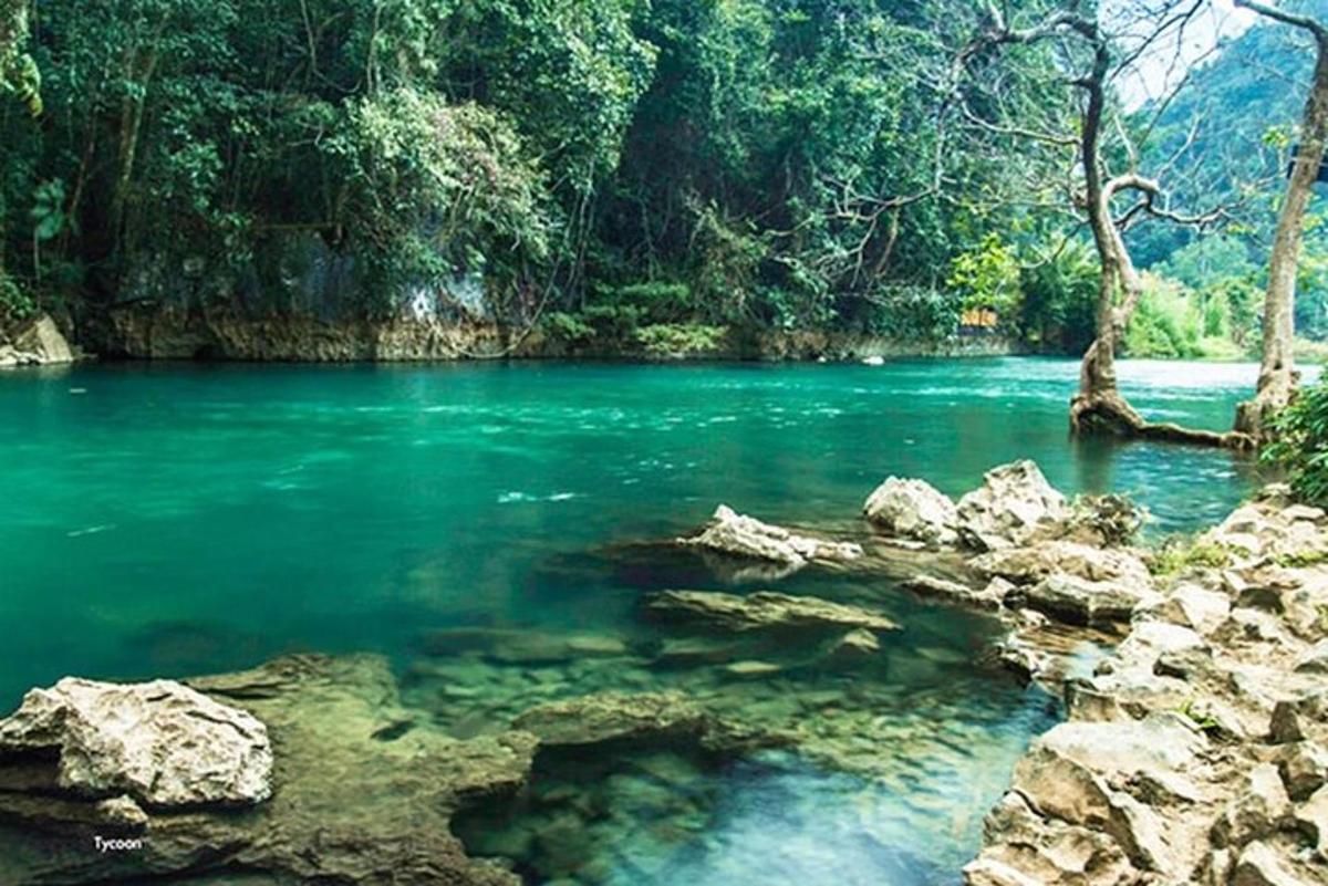 a river with green water and rocks in a forest