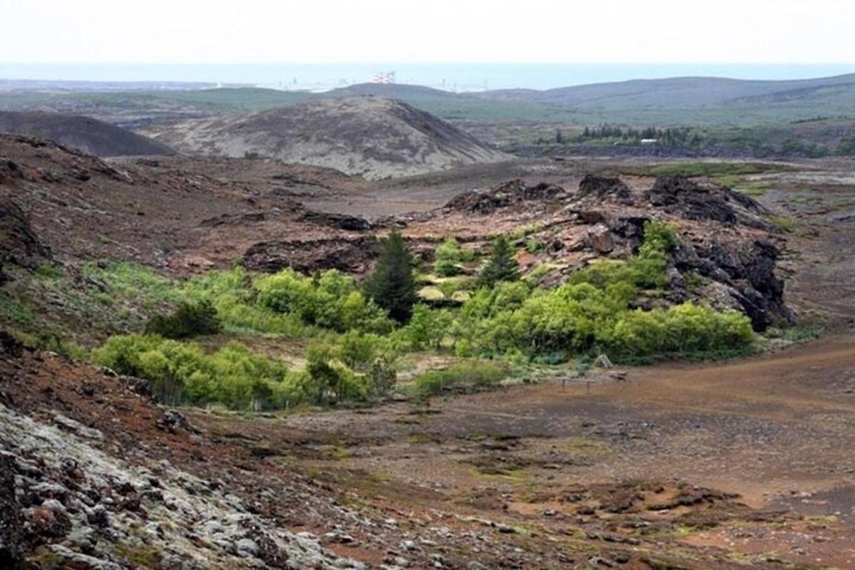 hegyoldal fákkal és bokrokkal