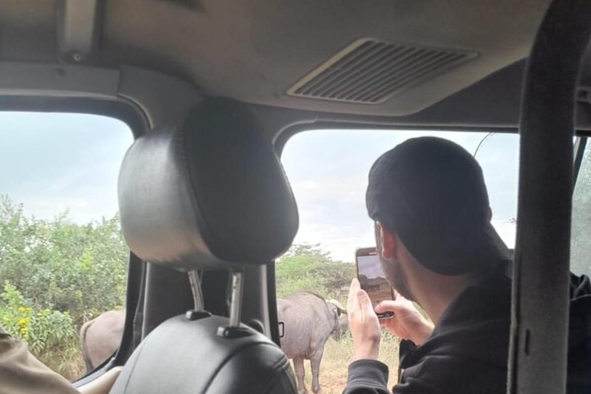 un uomo in un veicolo che scatta una foto a una mandria di animali