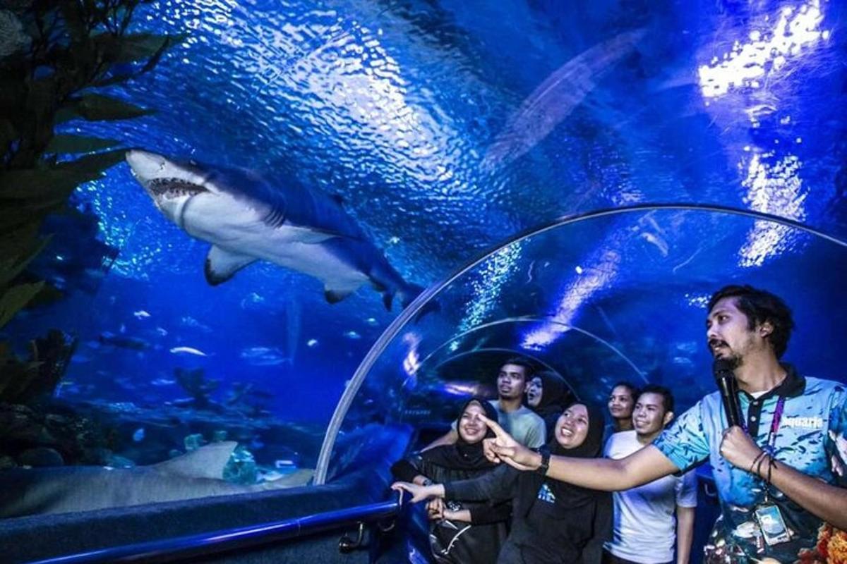 a group of people standing in front of a shark aquarium