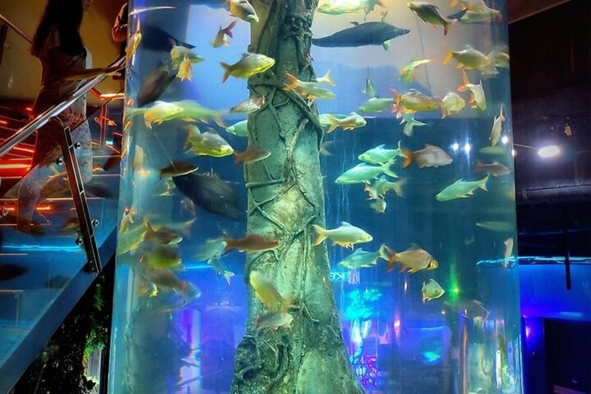 a large aquarium filled with lots of fish