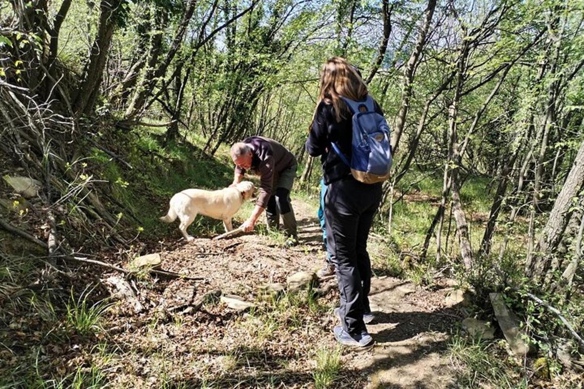 en mann og en kvinne som går tur med en hund på en sti