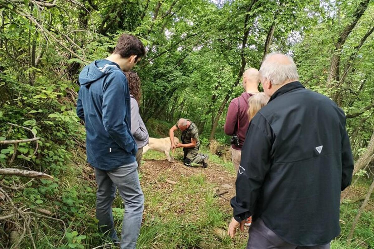 un gruppo di persone in piedi su un sentiero nel bosco