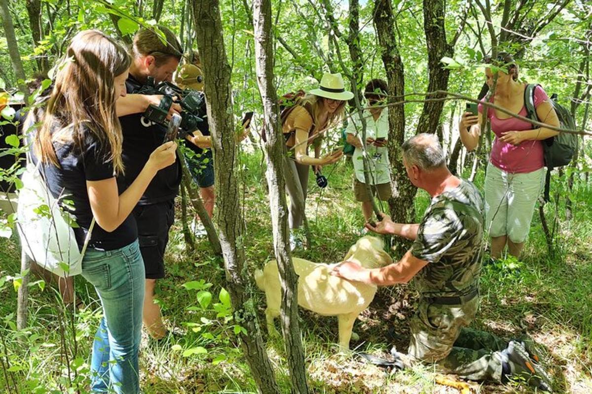 un gruppo di persone che scatta foto a un uomo nel bosco