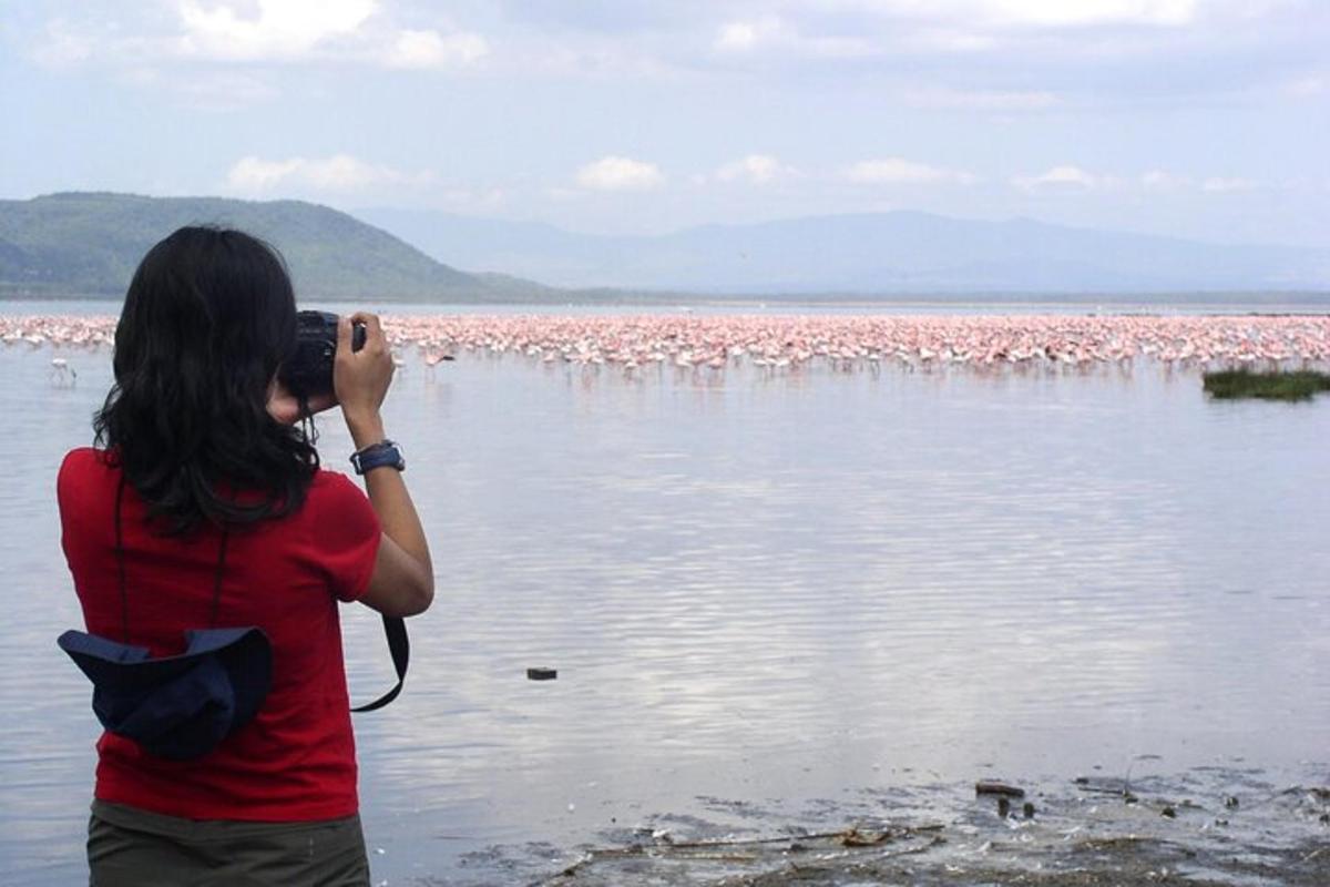 o femeie care fotografiază un stol de flamingo roz