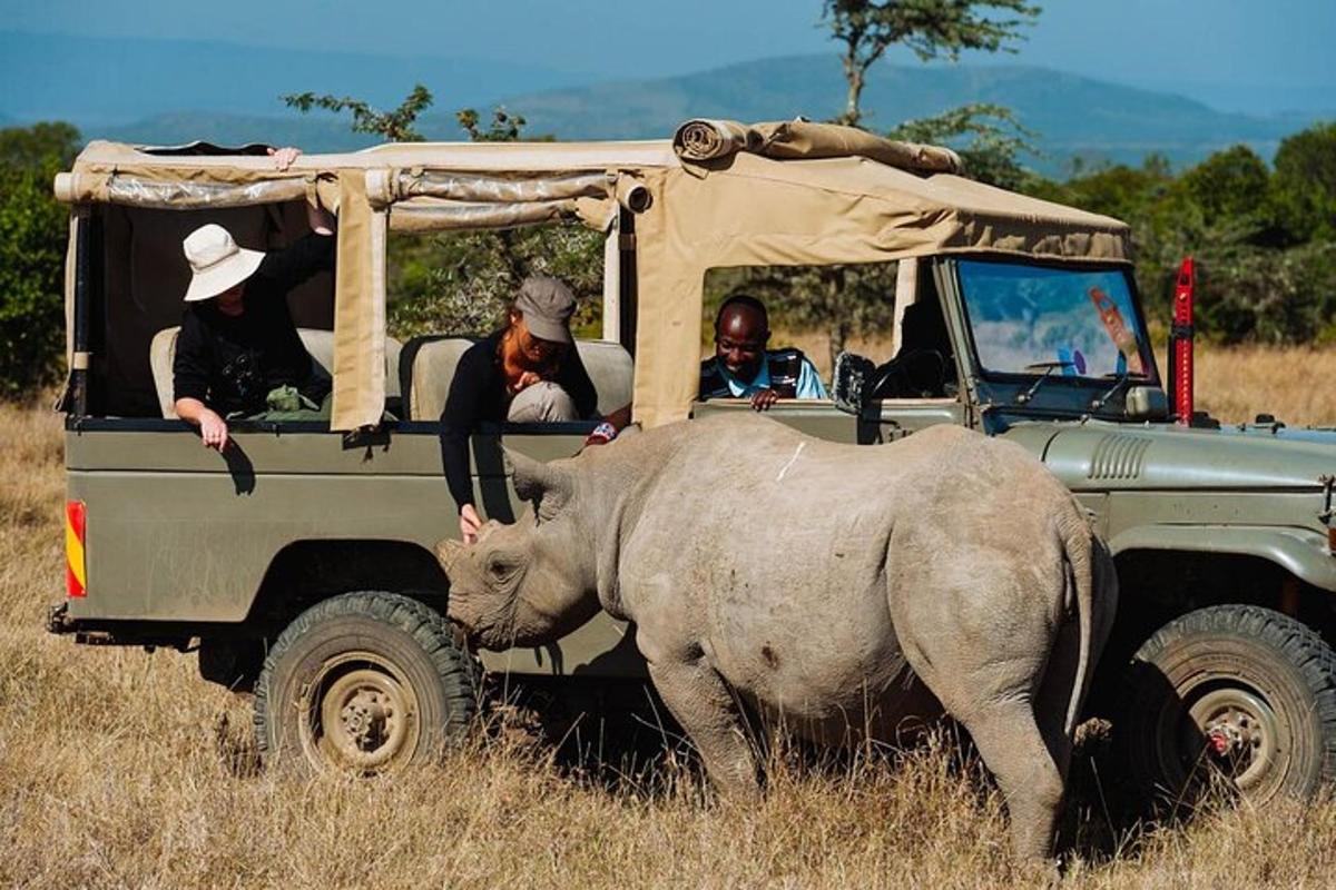 ein Nashorn steht vor einem Jeep mit Menschen