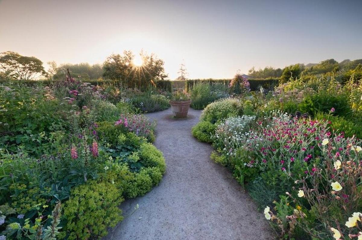 a garden with many different flowers and plants