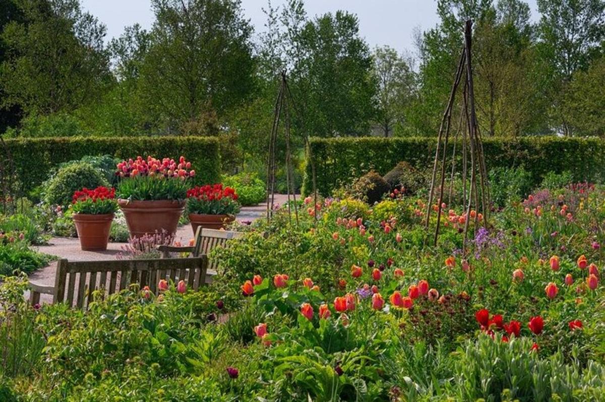 a garden with lots of flowers and plants