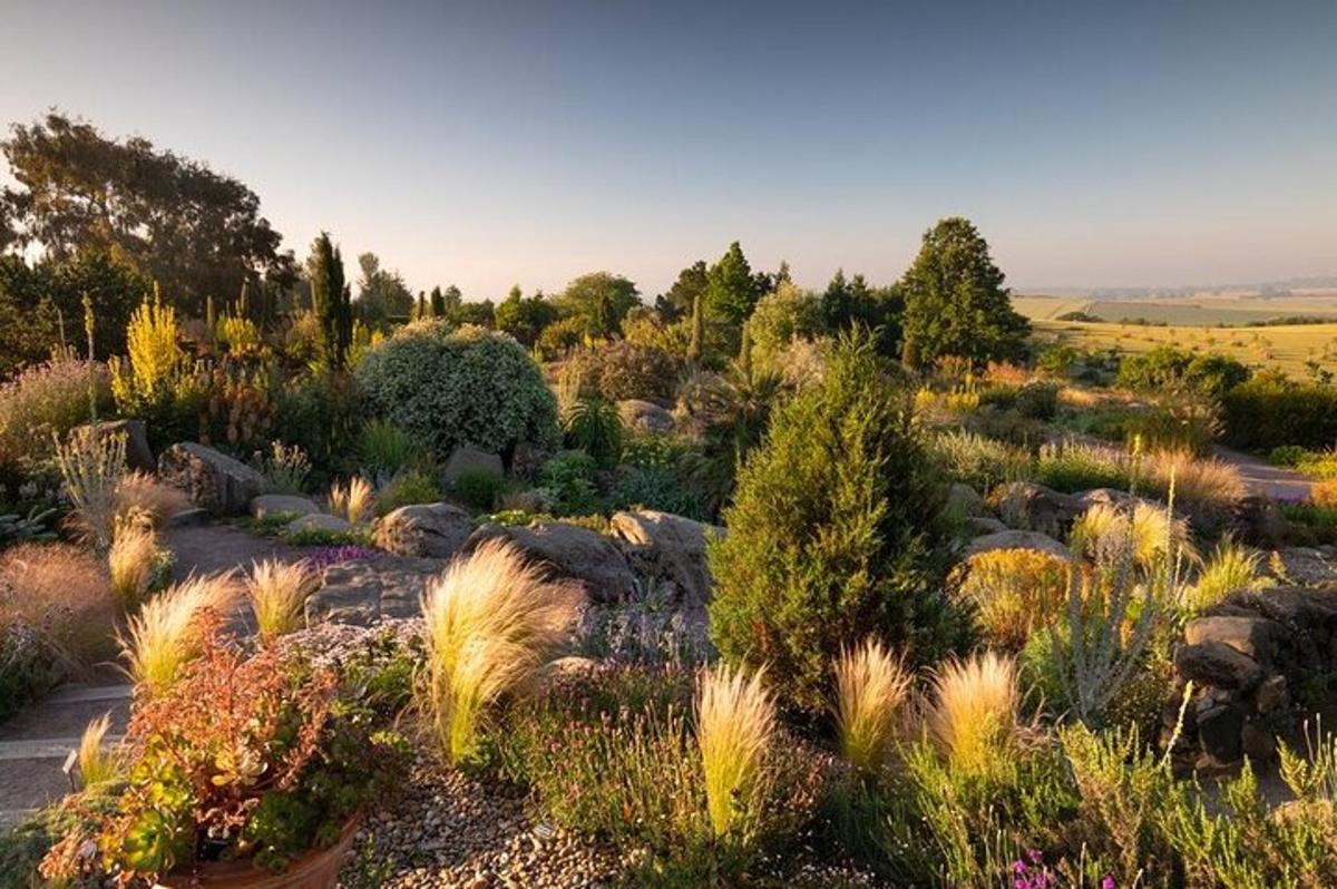 a garden with many plants and rocks and trees