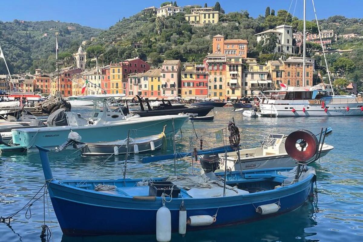 un gruppo di barche attraccate in un porto con edifici