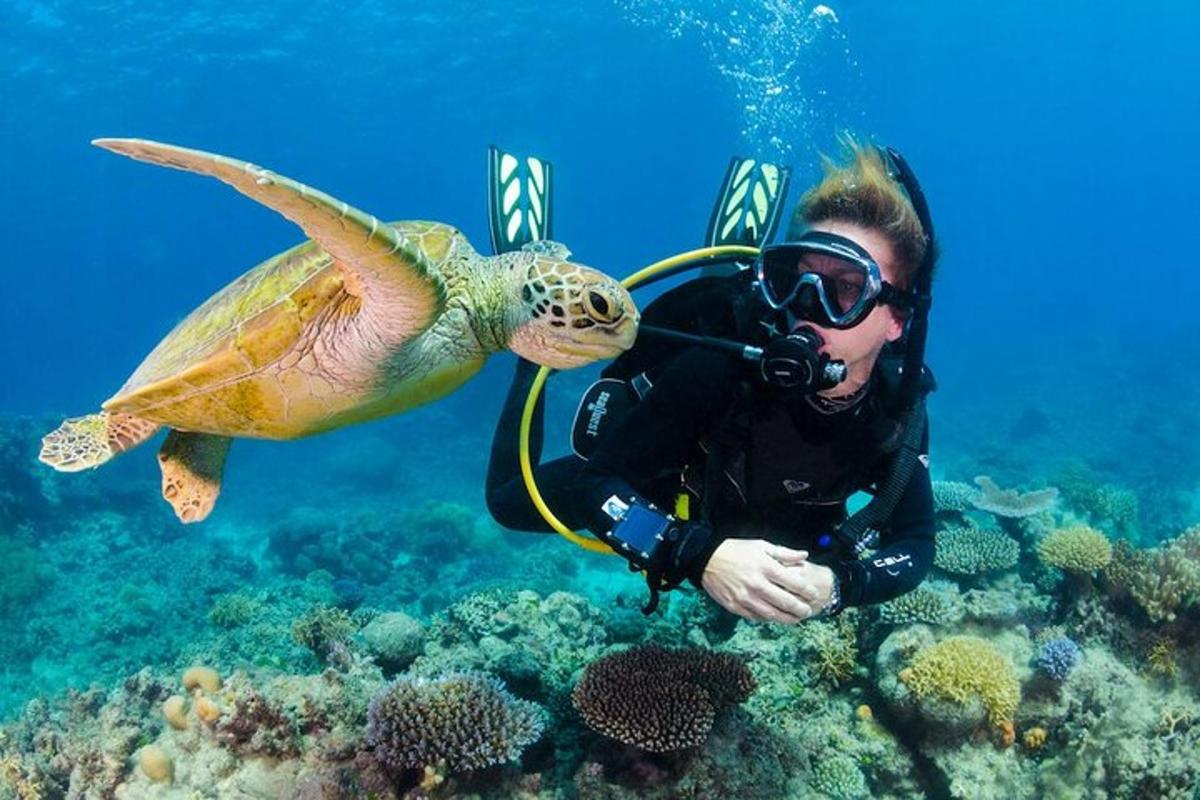 muž fotí želvu na oceánu