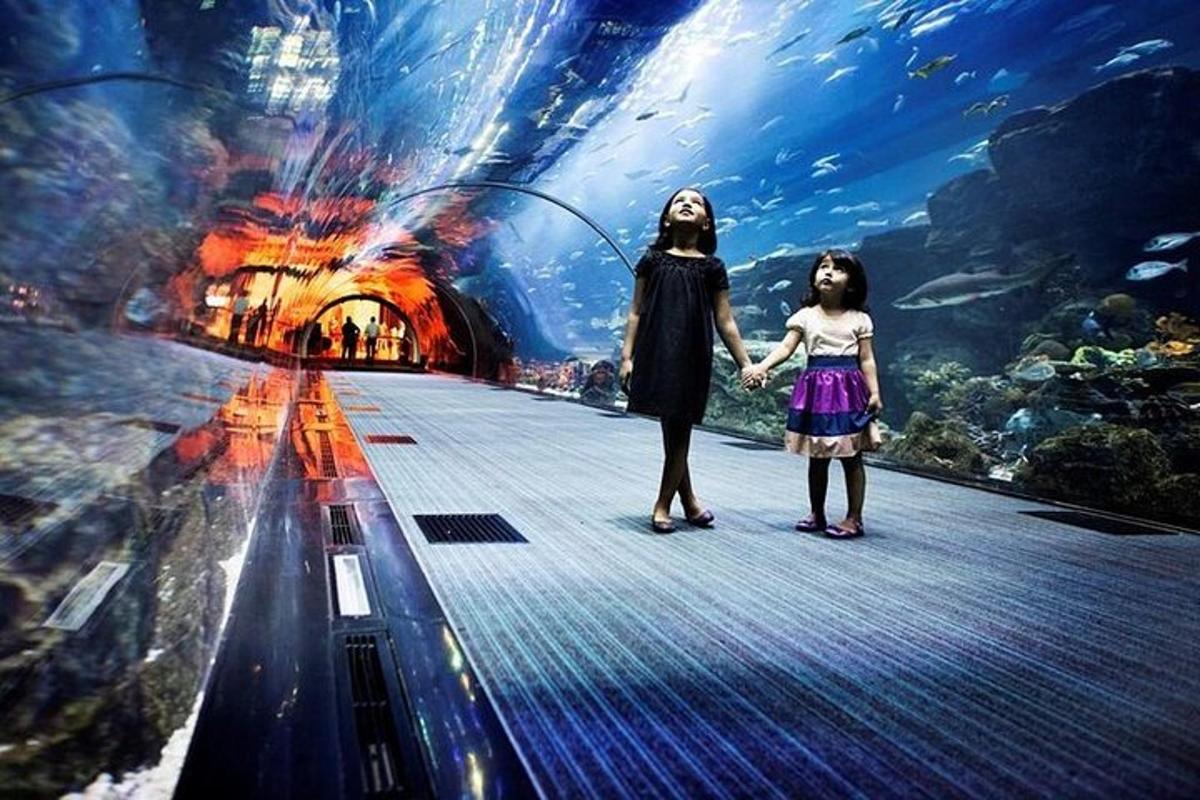 two girls standing on a walkway in an aquarium
