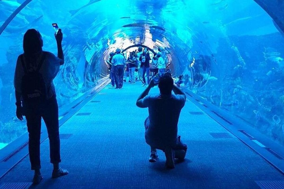a group of people taking pictures of fish in an aquarium