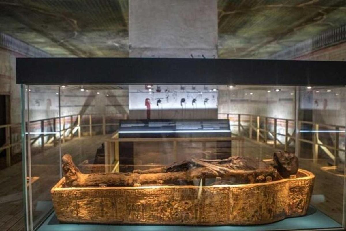 un museo con un sarcofago in una teca di vetro