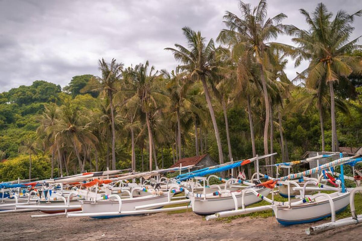 sekumpulan bot beratur di pantai
