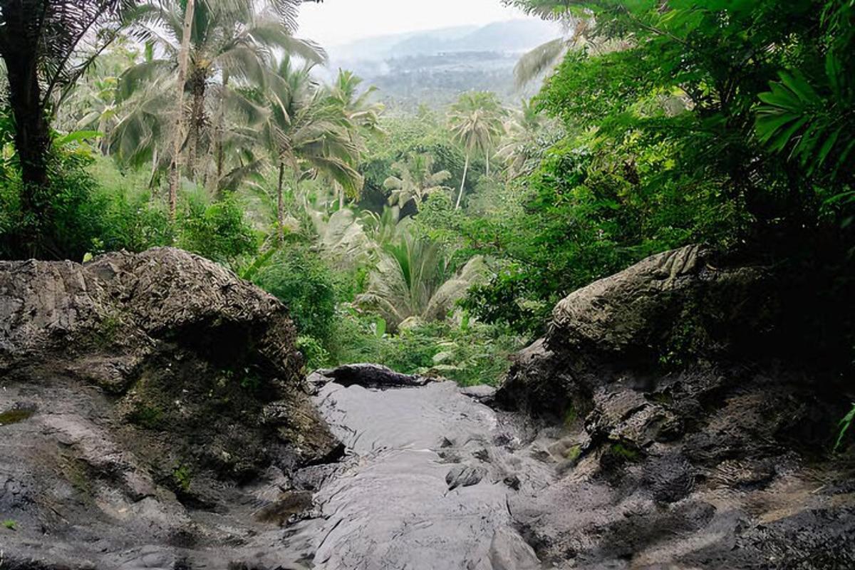 sungai di tengah-tengah hutan dengan pokok palma