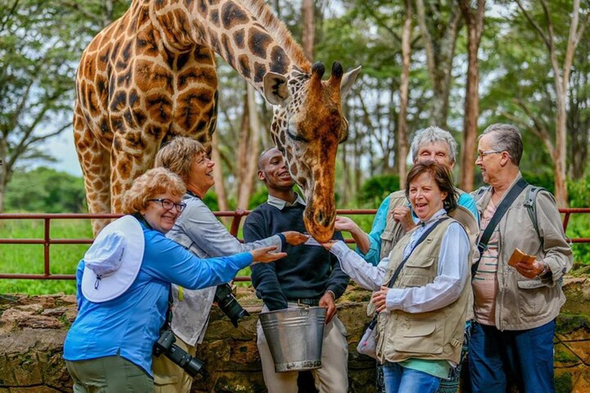 un gruppo di persone in piedi accanto a una giraffa