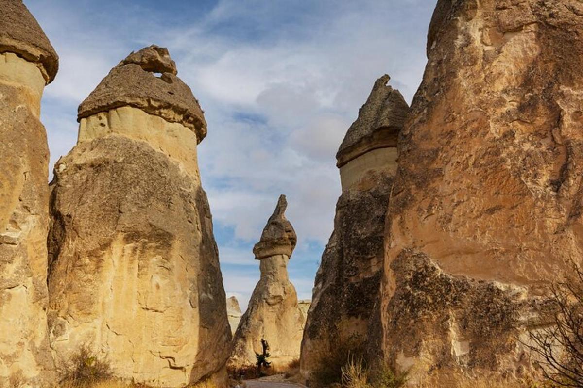un gruppo di formazioni rocciose nel deserto