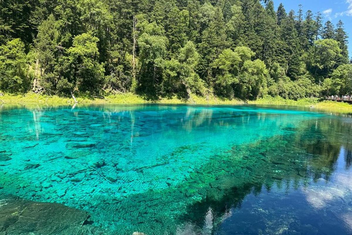 a large body of water with trees in the background